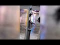 Donna annegata nel sottopasso: il video del carabiniere che tenta disperatamente di salvarla