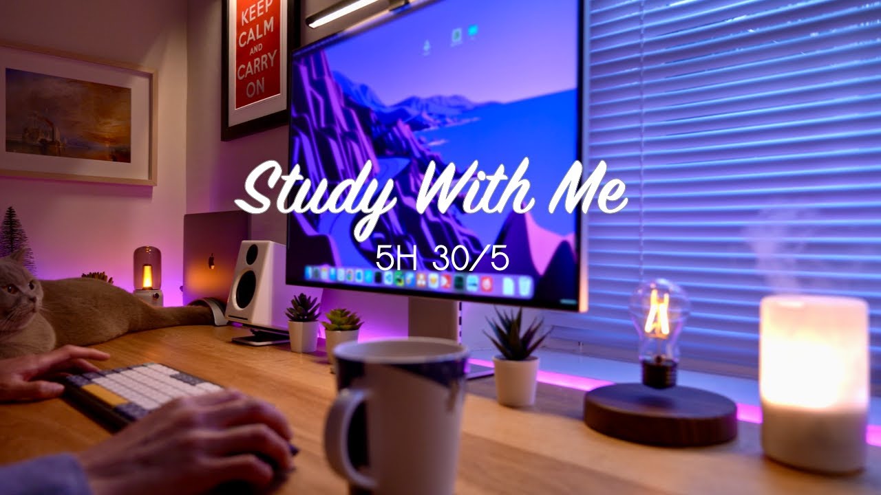 5-Hour Study with Me / Pomodoro 30-5 / Relaxing Lo-Fi / Day 137 - YouTube