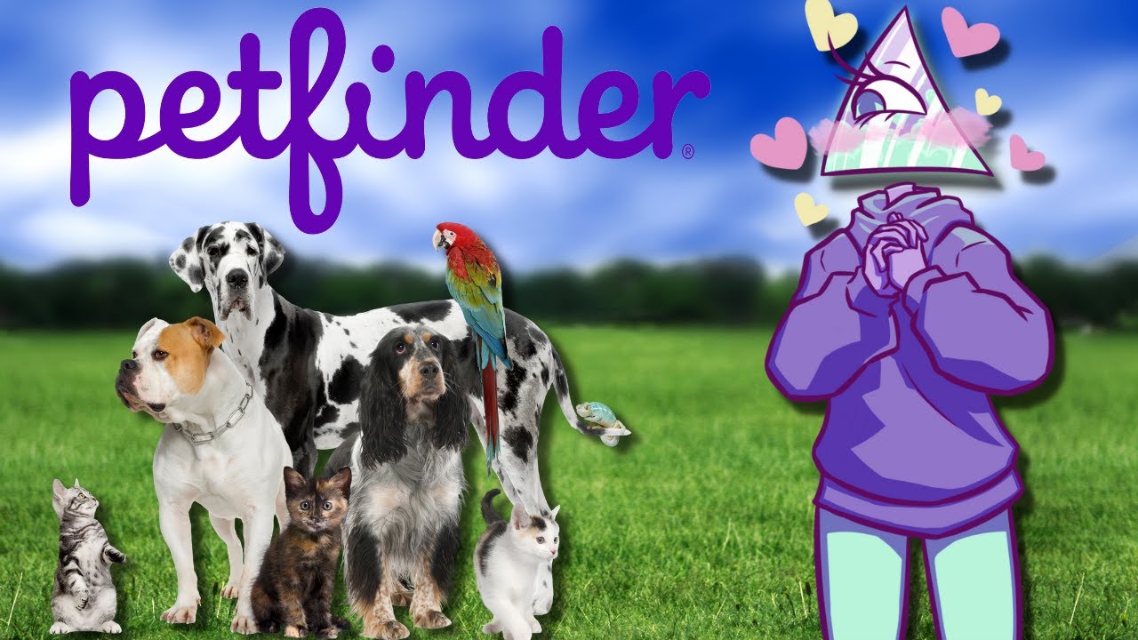 Reviewing Petfinder Names YouTube