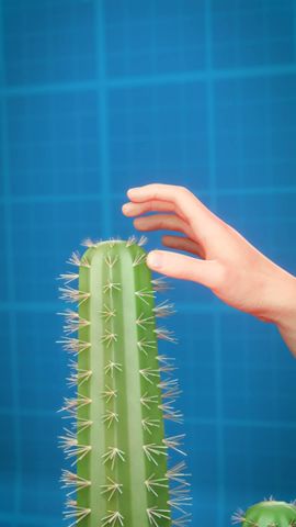 How To Remove Cactus Spines 🌵