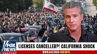California Driving Crisis 2026 — Why Millions Could Suddenly Lose Their Licenses!