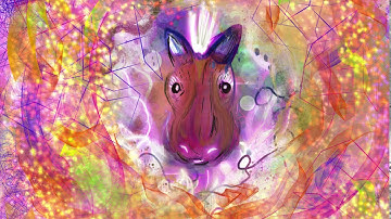 🦄Procreate Time Lapse Art Piece Video | Evolving Unicorn