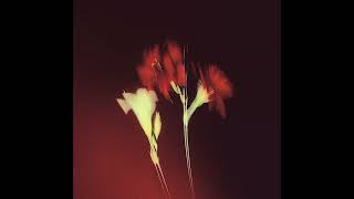 tell me you loved me (ft. kasane teto)