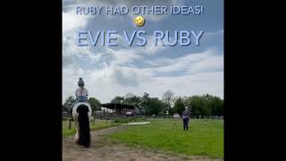 Horse Riding on Ruby - My first time over raised poles!