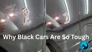 Black Cars Are a Nightmare to Maintain — Here’s How We Fix That