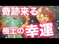 【奇跡展開】✨見た時がタイミング！近々に起こる「極上のラッキー」✨🌈