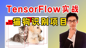 基于TensorFlow实现猫狗识别实战解析，迪哥带你1小时快速上手！