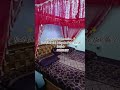 bettiah mehrab collection 🔥🔥 #chandni #chandnidesgine #bridalmehrab