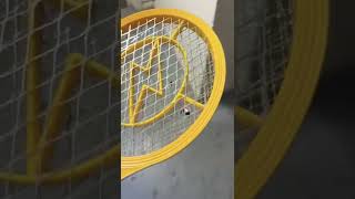 Fly being zapped by fly zapper!