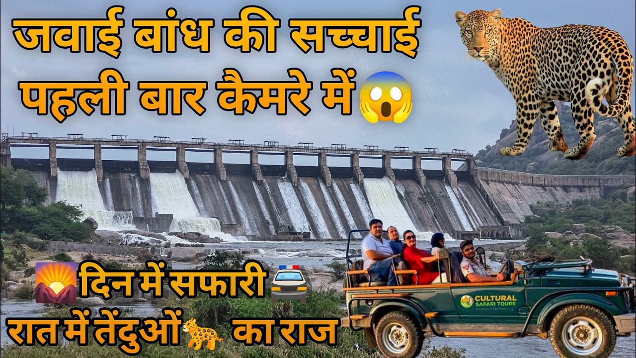 👉 जवाई बाँध–लेपर्ड सफारी और राजस्थान का अनोखा वाइल्डलाइफ़ हॉटस्पॉट Jawai bandh jungle safari leopard