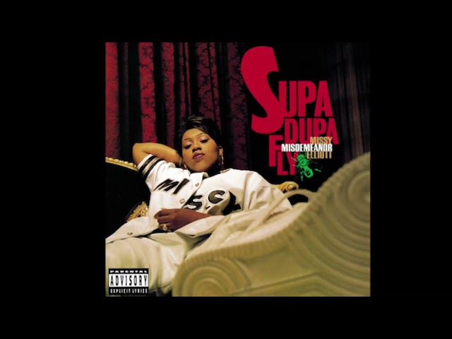 The Rain (Supa Dupa Fly) - Missy Elliot class=