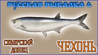 РР4 СЕВЕРСКИЙ ДОНЕЦ ПЛОТВА / РУССКАЯ РЫБАЛКА 4 ДОНЕЦ ЧЕХОНЬ / RUSSIAN FISHING 4 SABREFISH