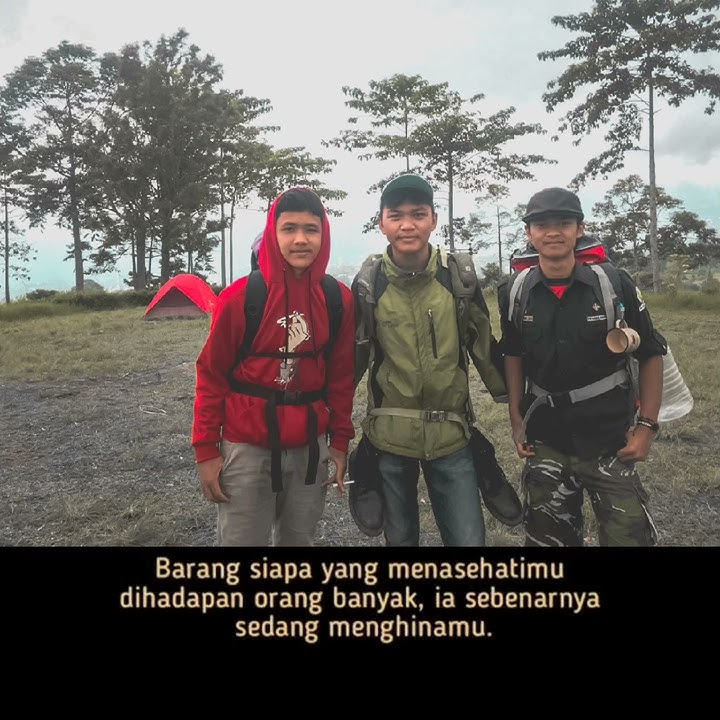 Story WA Kata Kata Imam Syafi'i :)