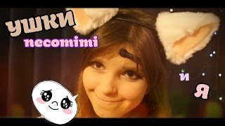 УШКИ necomimi и Я (´｡• ᵕ •｡`) ♡