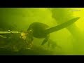 Подводная охота Лето-осень2011_ч.2. Spearfishing.Записки охотника
