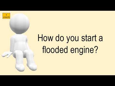Vídeo: Como você conserta uma motosserra inundada?
