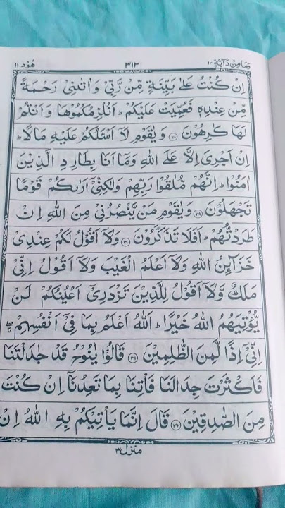 Surah Hud Ayahs 28-30 | Memorising the Quran