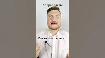 Хлоропласты. ЕГЭ Биология. ЕГЭ 2022.