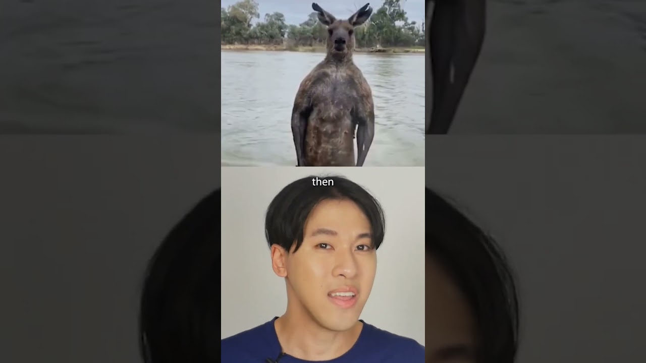 SUPER STRONG Kangaroo Tried To Drown Someone