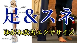 【初公開】「スネの歪み（O脚・膝下O脚）」「足の悩み（扁平足・外反母趾）」を改善する！立ったまま簡単にできる「後脛骨筋エクササイズ」！【愛媛県松山市　ピラティス・整体】