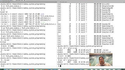 fork and defunct process