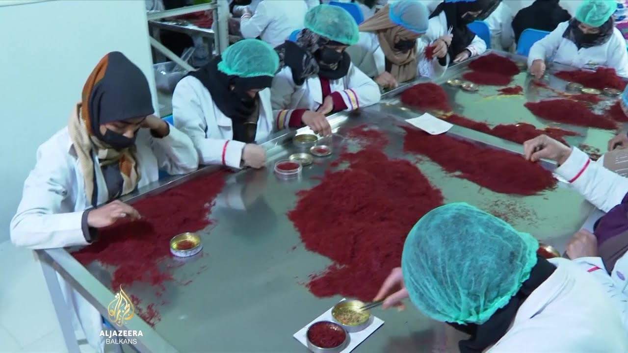 الأفغان في ورطة - ماذا يفعلون بفائض "الذهب الأحمر"؟ | الجزيرة العالمية