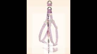 Bonita Pet: Zig-Zag Dog Harness and Leash Set - LARGE