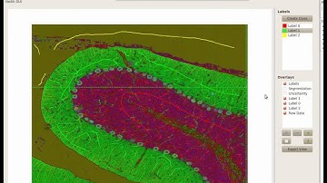 ilastik 0.5: Multiple images