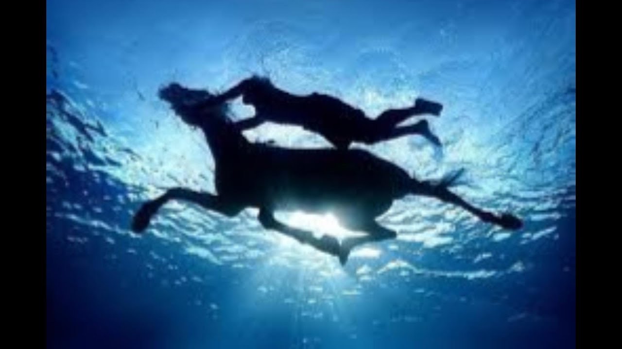 Did Matt Warner Drop Gold Coins in the Columbia River