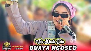 BUAYA NGOSED VOC. DEDE TRIA - ANDI PUTRA 3 | SEDEKAH BUMI DS JATISURA