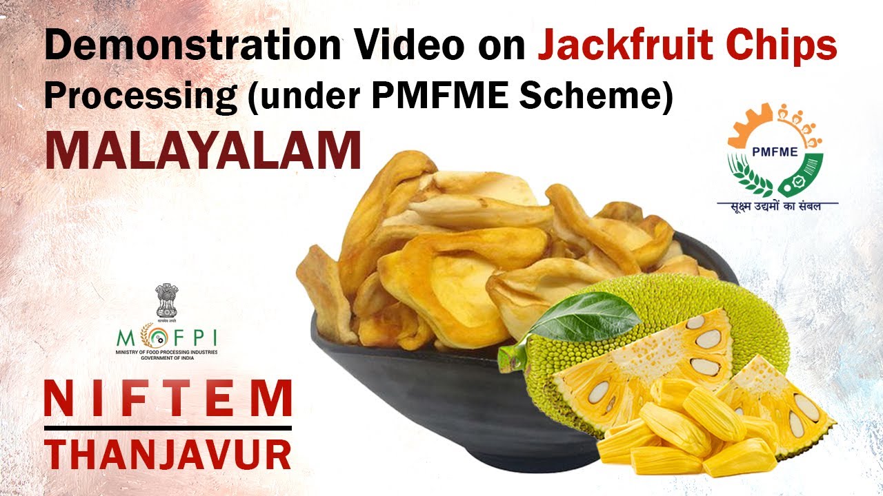 Demonstration Video on Jackfruit Chips Processing (under PMFME Scheme