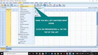 HOW TO CREATE A FREQUENCY TABLE IN SPSS