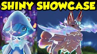 SHINY ANIIMO SHOWCASE