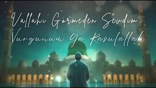 Vallahi Görmeden Sevdim.