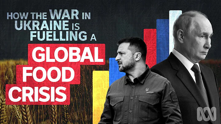 How War in Ukraine is Fuelling a Global Food Crisis: Russia & the Black Sea Grain Deal Explained - DayDayNews
