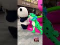 باندا وضفدع لطيفان فيديو قصير فيديو مضحك كوميدي رائج فيديو قصير على اليوتوب فيديو قصير 
