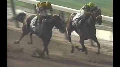 1992 Belmont Stakes : ABC Broadcast