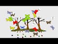 Butterflies and Ladybugs Gotta Move