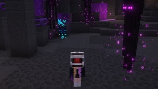 Famous Dropping my 16th Judgement Core! (Hypixel Skyblock) Net Worth