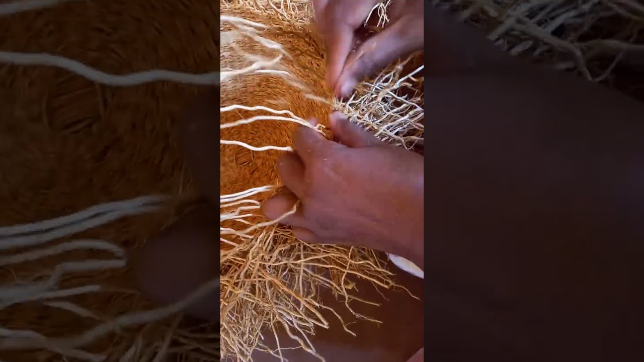 Vetiver weaving