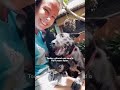 #love #usa #dog #pets #shortvideo #funny #animals #piano #puppy #cute #goldenretriever #puppyvideos
