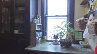 2508 South Wayne Street Fort Wayne, Indiana 46807 Video Tour