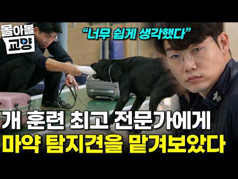 "개무시 당했다" 최고의 트레이너의 구겨진 자신감 보통 개들은 알 수도 할 수도 없는 마약 탐지의 세계 #몰아볼교양