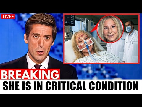 BARBRA STREISAND S Last Will Who Gets Her 400 MILLION Fortune Will SHOCK You 