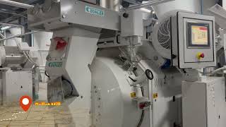 Feedmill processing video