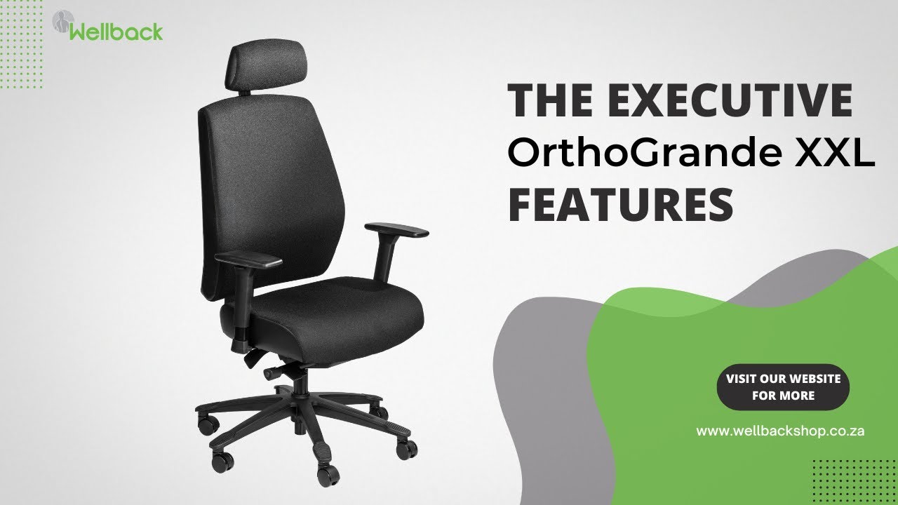 What is an Orthopedic Chair? - Wellback Shop
