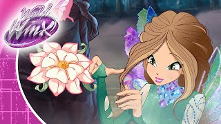 Winx Club - World Of Winx | Season 2 Ep.7 - A flower in the snow (Clip 2)