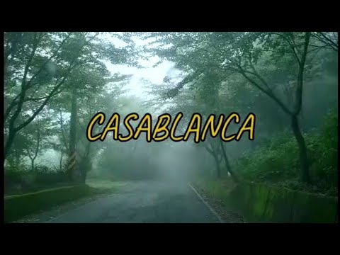 CASABLANCA ( LYRICS ) COVER by JAMIETV