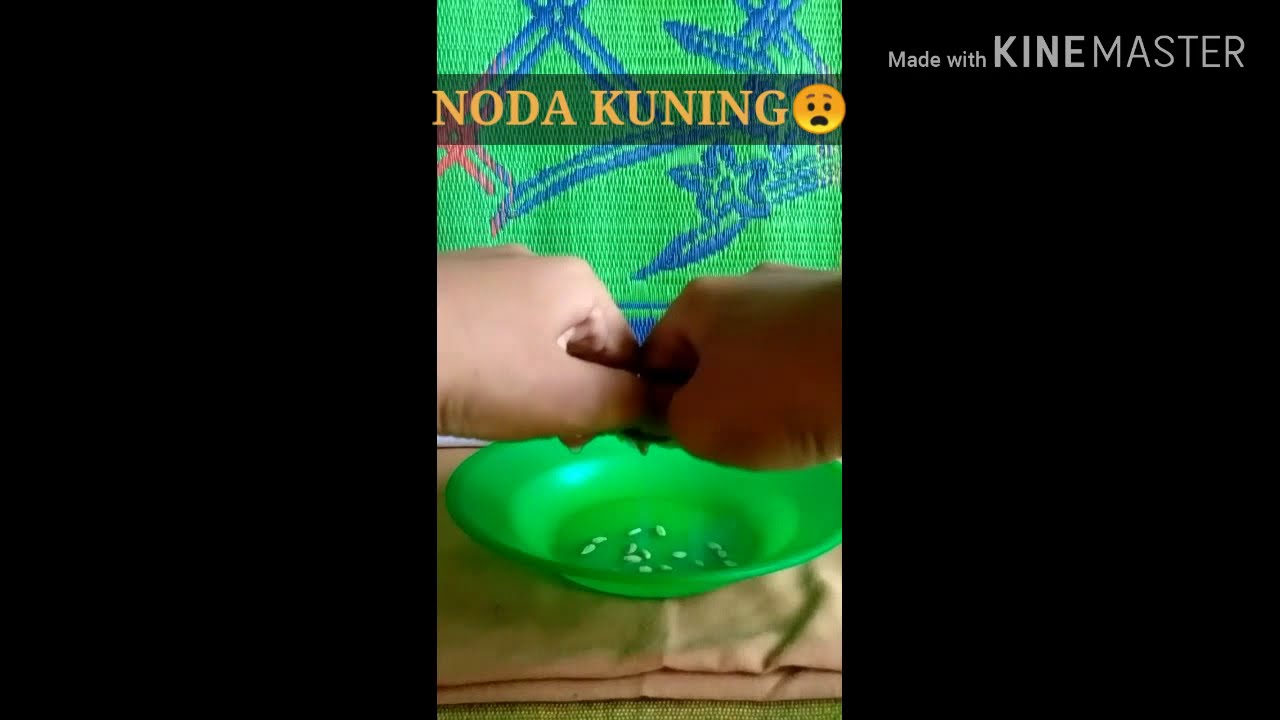  CARA  MENGHILANGKAN  NODA  KUNING  PADA  BAJU  PUTIH YouTube