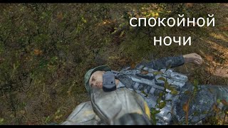 : DayZ ,   ,     